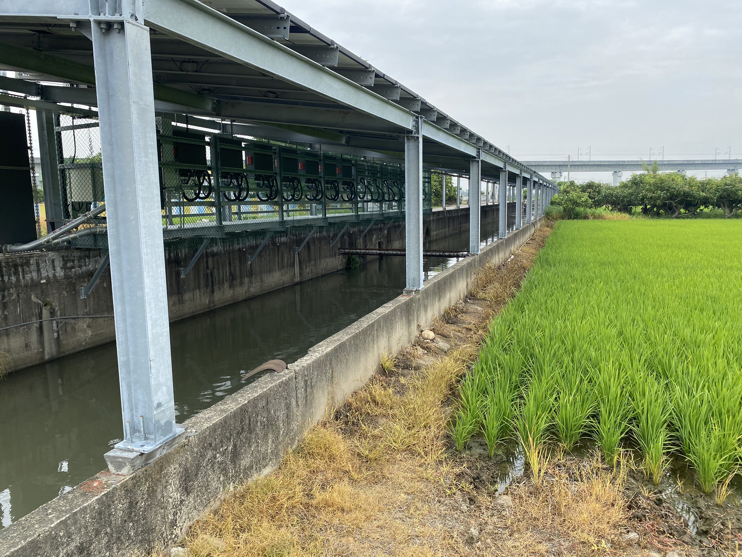 正彰南路大地坪農地