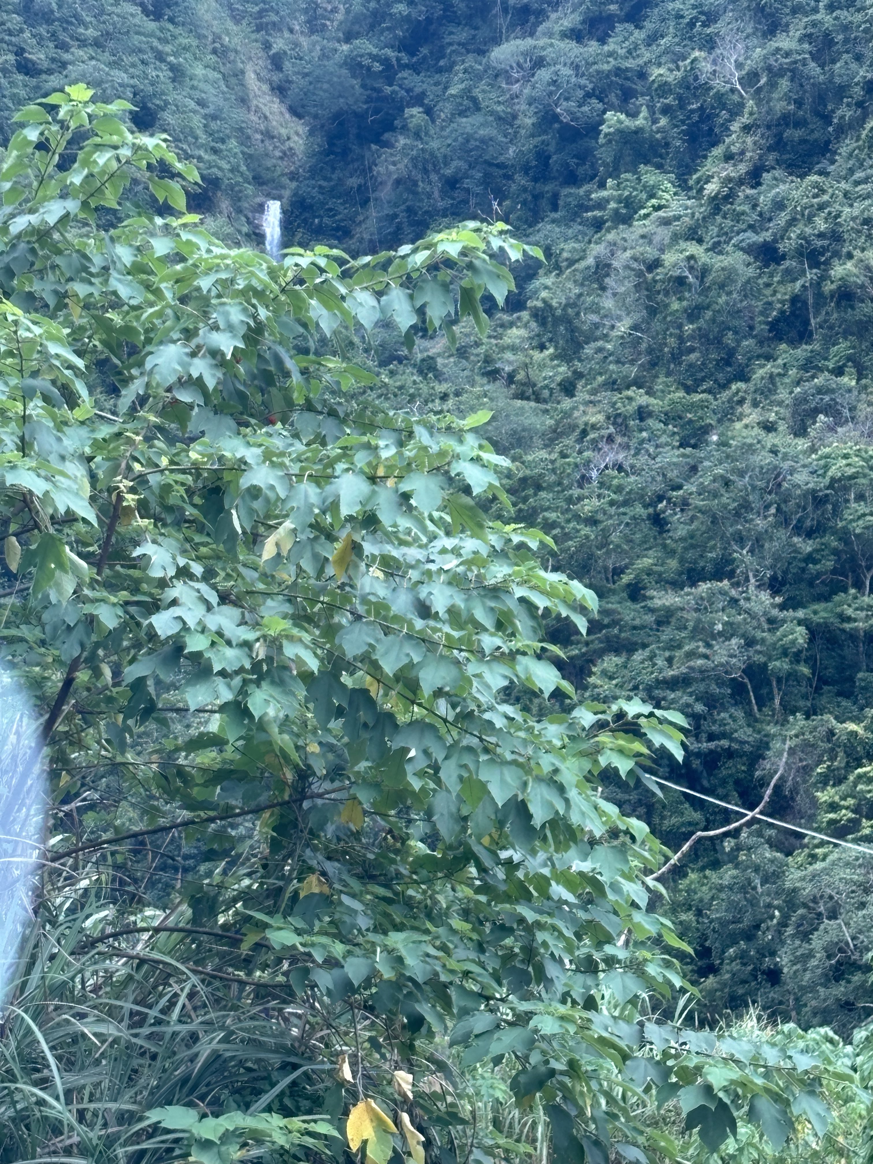 描繪了在谷關泡腳後前往鹿港感受人文氣息的輕旅行規劃建議。
